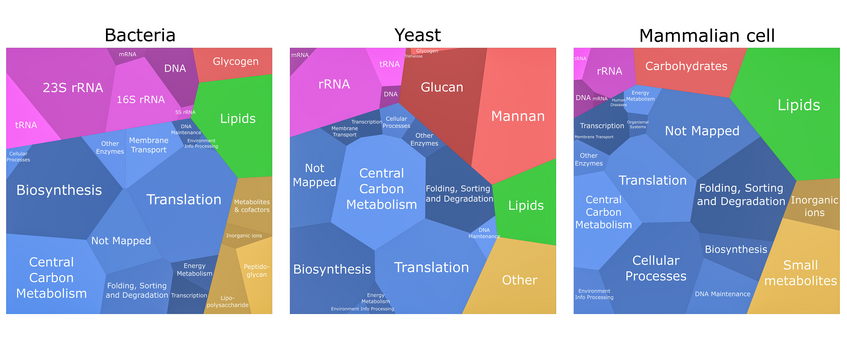 @ Pranas Grigaitis and Diana Széliová with Bioicons. Biomass composition and cell structure of a typical bacterial, yeast, and a mammalian cell.